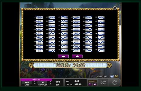 White Falls Slot Machine Paylines Screen