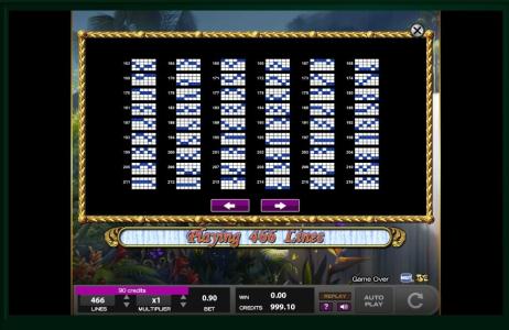White Falls Slot Machine Paylines Screen