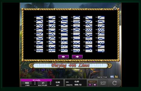 White Falls Slot Machine Paylines Screen