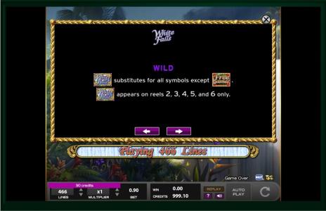 White Falls Slot Machine Wild Symbol Screen