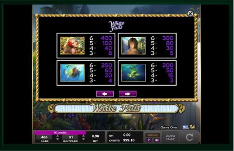 White Falls Slot Machine Paytable Screen