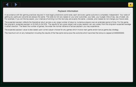 Cats Slot Machine Playback Information Screen