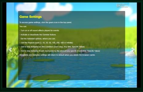 Frog Princess Slot Machine Game Settings Screen