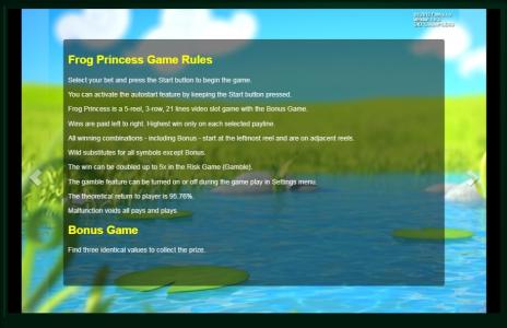 Frog Princess Slot Machine Game Rules Screen
