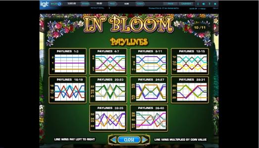 In Bloom Slot Machine Paylines Screen