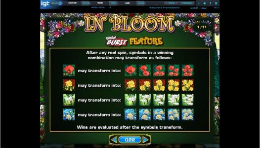 In Bloom Slot Machine Bonus Line Screen