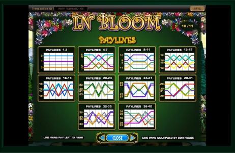 In Bloom Slot Machine Paylines Screen
