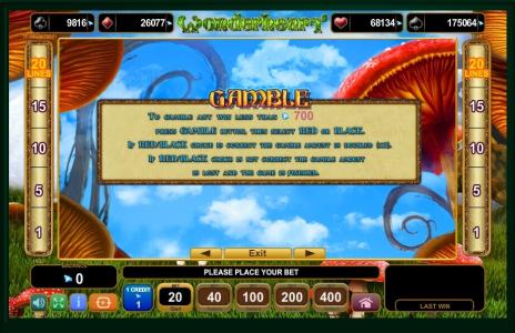Wonderheart Slot Machine Gamble Feature Screen