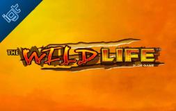 The Wild Life slot logo
