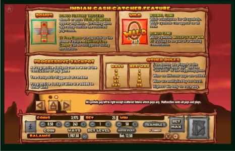 Indian Cash Catcher Slot Machine Scatter Awards and Wild Symbol Screen
