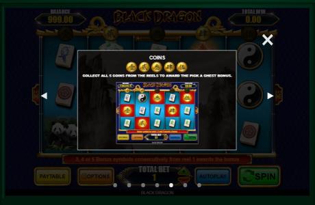 Black Dragon Slot Machine Bonus Feature Explanation Screen