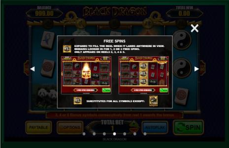 Black Dragon Slot Machine Free Spins Bonus Screen