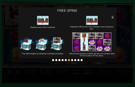 Gem Hunter Slot Machine Free Spins Bonus Screen