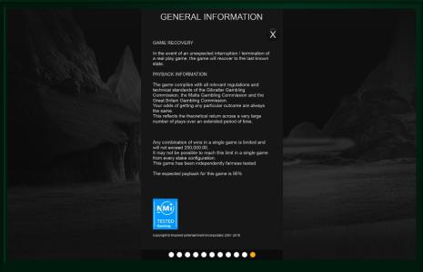 Ninja Monkey Slot Machine General Information Screen