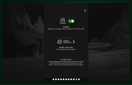 Ninja Monkey Slot Machine General Information Screen