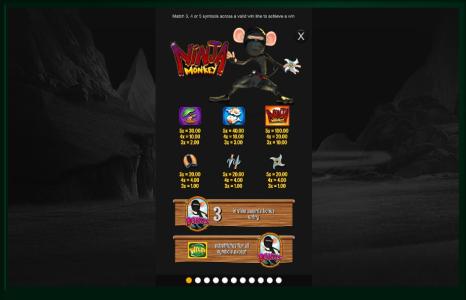 Ninja Monkey Slot Machine Paytable Screen