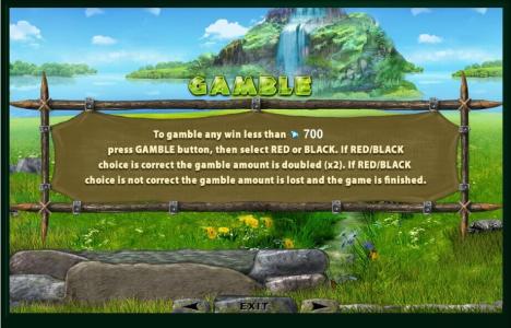 Dragon Hot Slot Machine Gamble Feature Screen