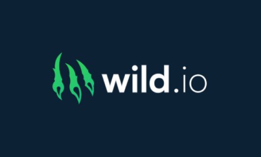 Wild.io Casino logo