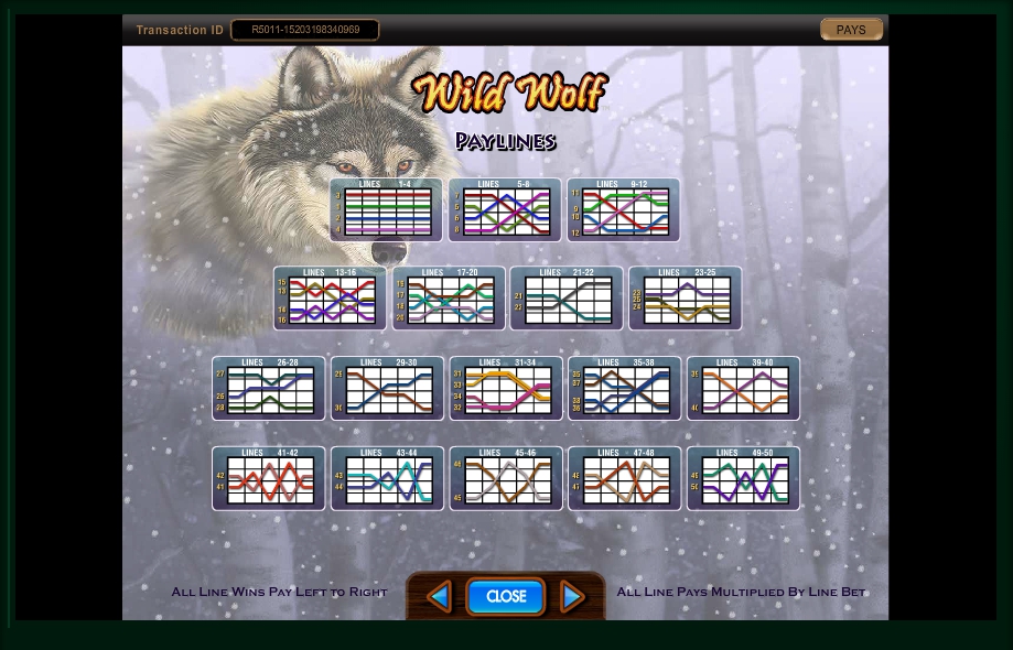 Wild wolf slot machine win