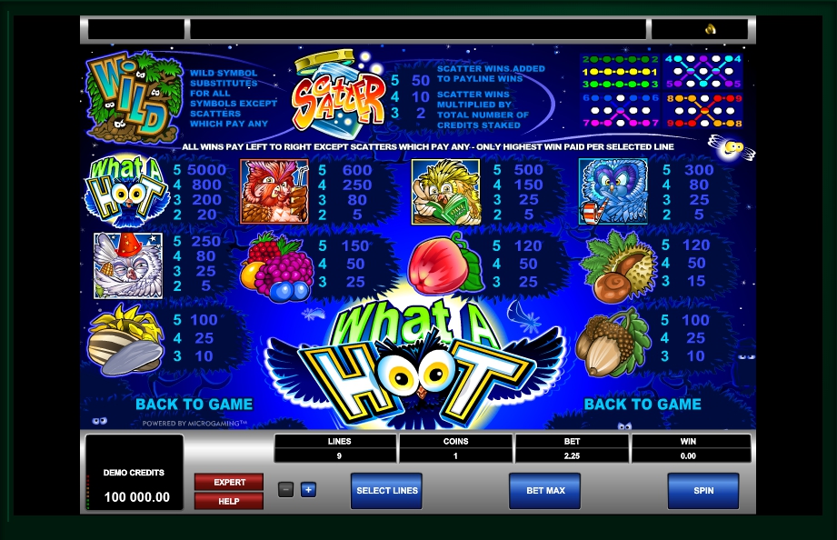 Slot Machine Shoot! dari Microgaming