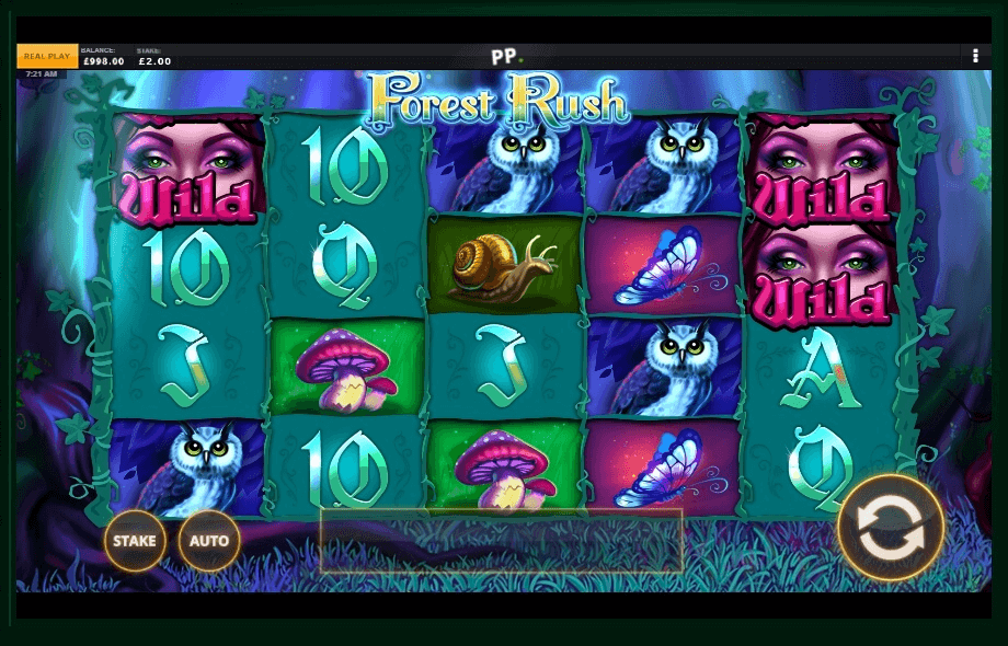 Forest Rush slot play free