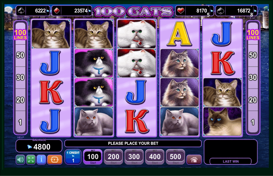 100 Cats slot play free