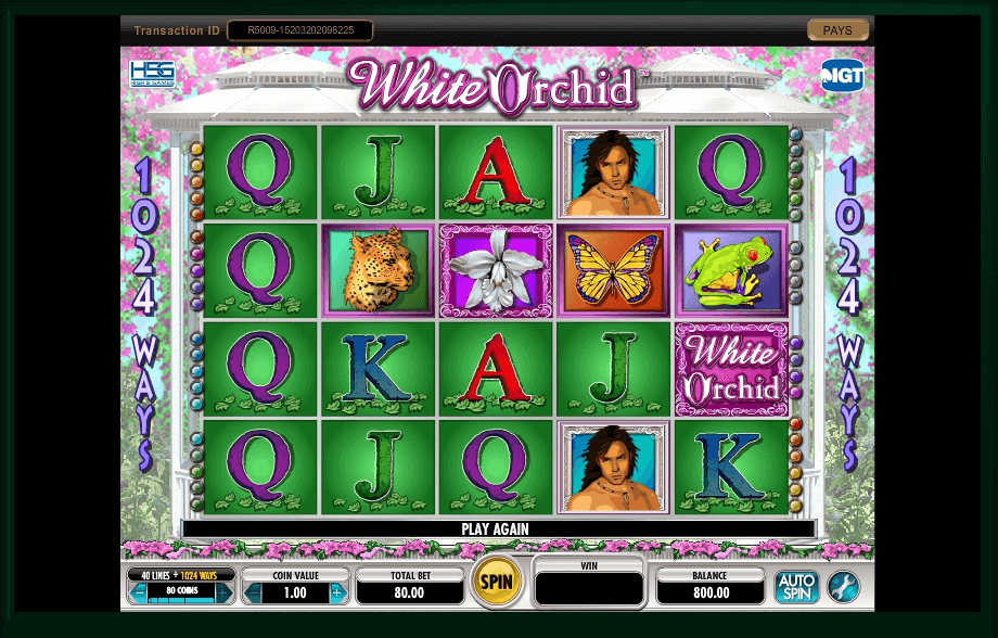 White Orchid slot play free