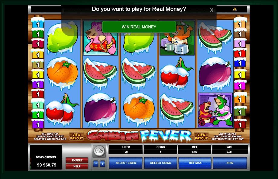 reel fever slot machine