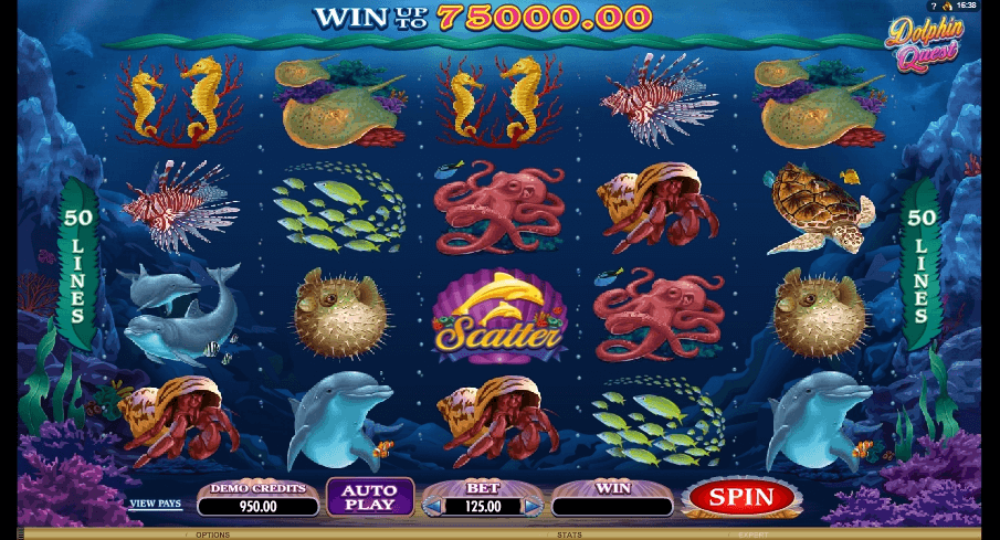 Dolphin Quest slot play free