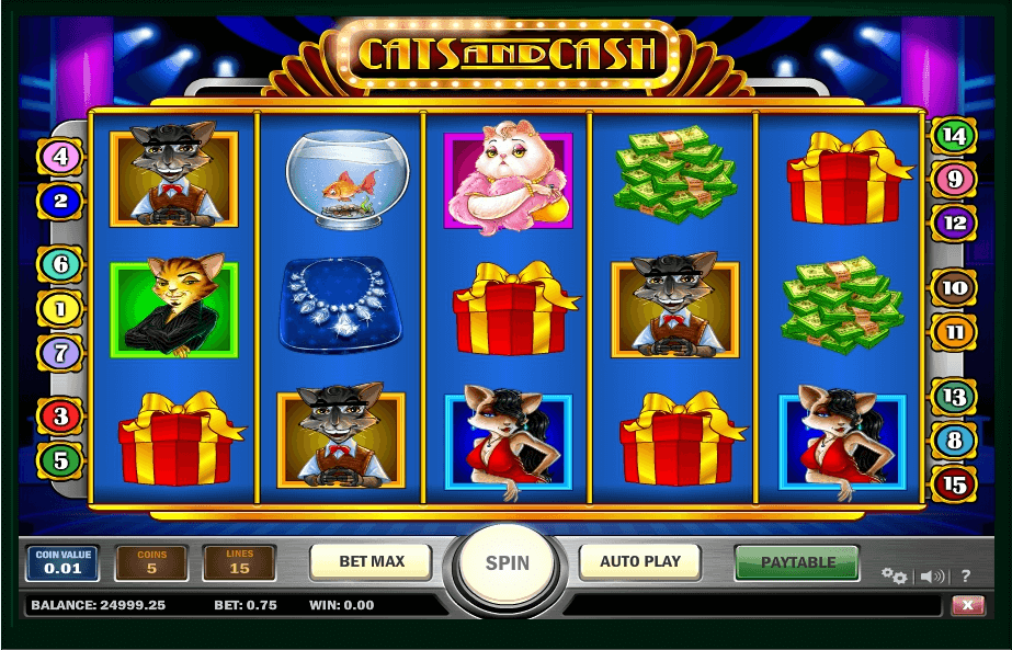 Cats and Cash slot play free