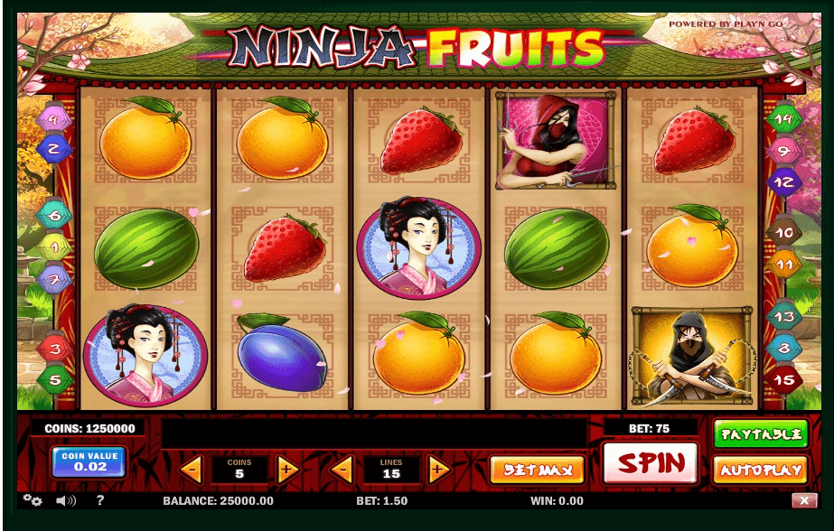 Ninja Fruits slot play free